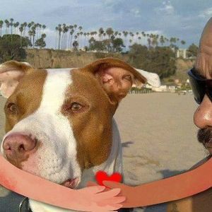 Meet your Posher, Jorge